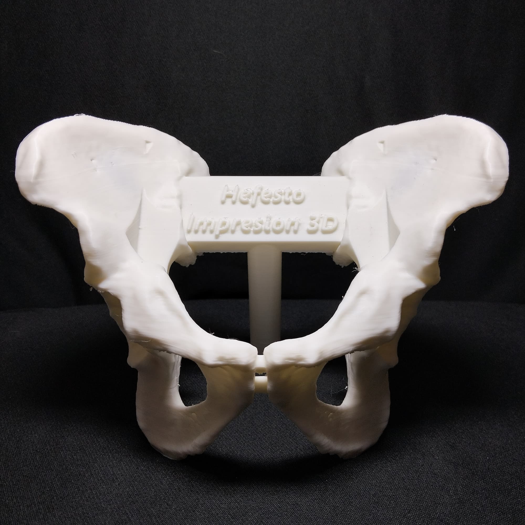 Médico con modelo anatómico 3D — docencia